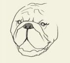 简笔画大草原的画法，草原简笔画 画法（简笔画大全-为了补偿之前小编没有更新）