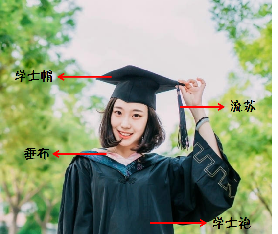 管理学学位的学士服是什么颜色，学士服怎么根据颜色区分学士种类（看懂学士服 一篇文章就够了）