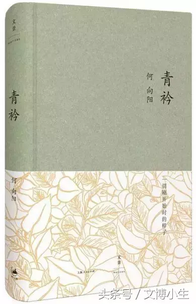 怎样用钢笔画母鸡孵化小鸡，怎样用钢笔画母鸡孵化小鸡视频（给孩子们的书单——张学东、方铁、俞晓群、周立民）