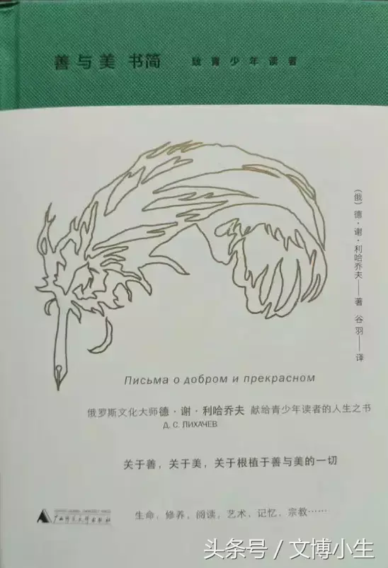 怎样用钢笔画母鸡孵化小鸡，怎样用钢笔画母鸡孵化小鸡视频（给孩子们的书单——张学东、方铁、俞晓群、周立民）