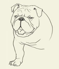 简笔画大草原的画法，草原简笔画 画法（简笔画大全-为了补偿之前小编没有更新）