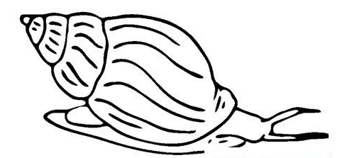 简笔画大草原的画法，草原简笔画 画法（简笔画大全-为了补偿之前小编没有更新）