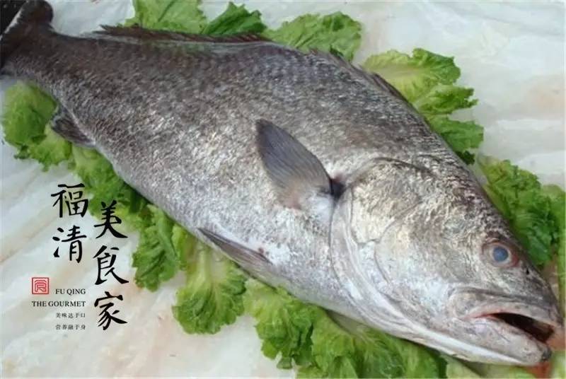 条鳎鱼做法,鮰鱼整条的做法大全(错过此帖你会后悔一年的)