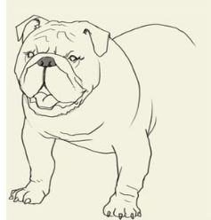 简笔画大草原的画法，草原简笔画 画法（简笔画大全-为了补偿之前小编没有更新）