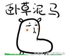 白痴是什么意思，游戏白痴是什么意思（罗山人最喜欢说的10句脏话）