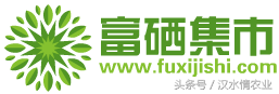 油桃酒的功效与作用，红桃酒的功效与作用（桃子酒——富含膳食纤维和各种营养素的酒）