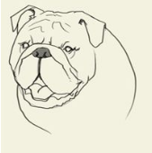 简笔画大草原的画法，草原简笔画 画法（简笔画大全-为了补偿之前小编没有更新）