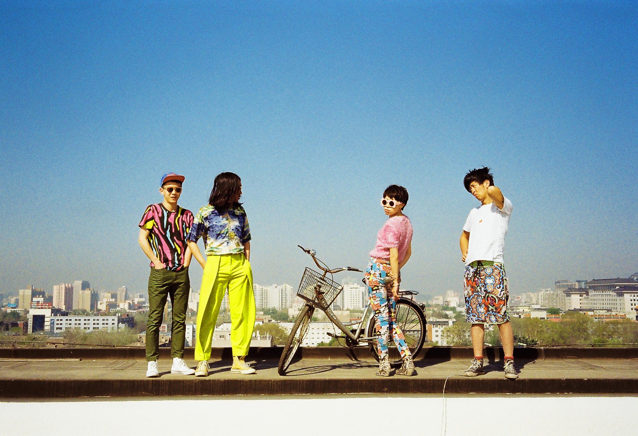 dickies中文翻译，dickies怎么读（你了解的后海大鲨鱼）