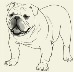 简笔画大草原的画法，草原简笔画 画法（简笔画大全-为了补偿之前小编没有更新）