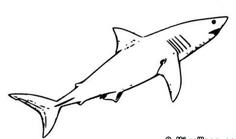 简笔画大草原的画法，草原简笔画 画法（简笔画大全-为了补偿之前小编没有更新）