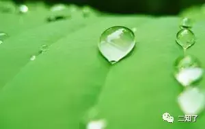 no2是什么基团，NO2原子团（一文详述紫外光谱中那些关键知识点）