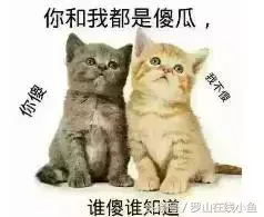 白痴是什么意思，游戏白痴是什么意思（罗山人最喜欢说的10句脏话）