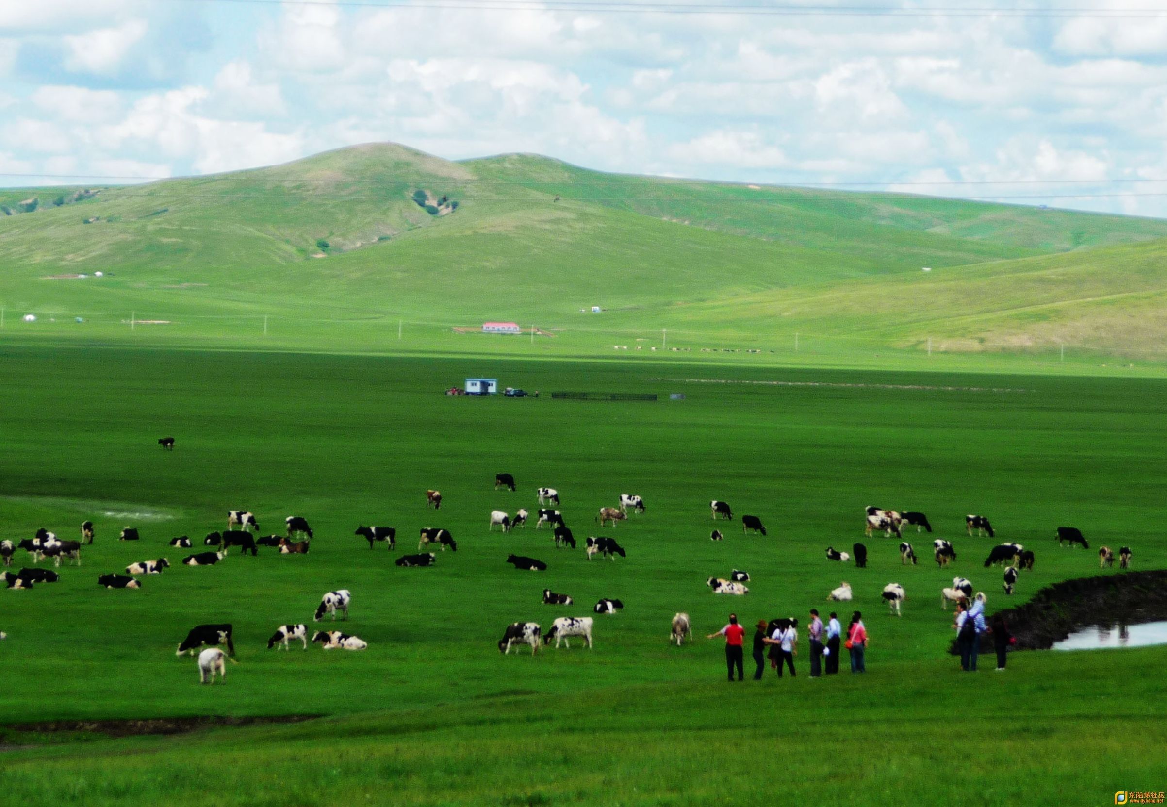 朵朵白云高挂蓝天,草原上策马奔腾牛羊珍珠般散落其上,一个个蒙古包