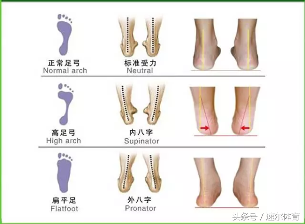 亚瑟士运动鞋是哪个国家的品牌，亚瑟士是哪个国家的牌子（Asics亚瑟士到底有哪些牛逼的地方而被称为“跑鞋之王”）