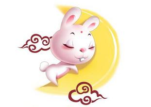 哪一年是辛卯年，农历辛卯年是哪一年（什么是卯兔 卯兔是哪一年）
