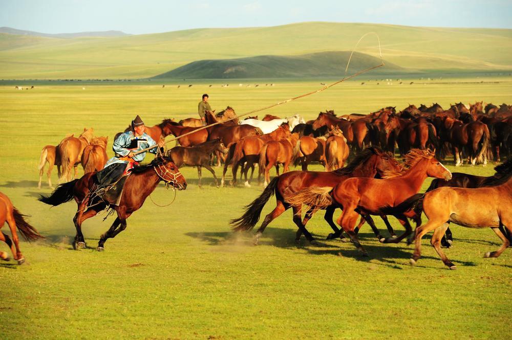 策马奔腾共享人世繁华是什么意思(呼伦贝尔大草原:一步一回首)
