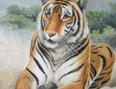 属虎一生的贵人是哪几个，属虎人生中最大的贵人（生肖虎的贵人和小人）