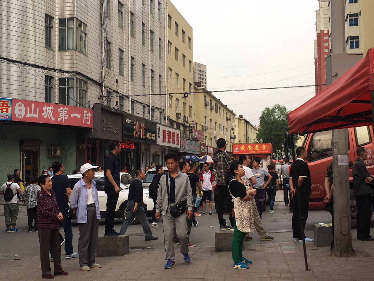 为什么空心的老树还能活，一棵空心老树为什么还能活着和生长（六十多年的老树究竟什么原因就这样被无情的筏了）