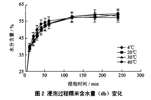 粽子怎么做，粽子怎么做 步骤（快点来学学怎么做粽子吧）