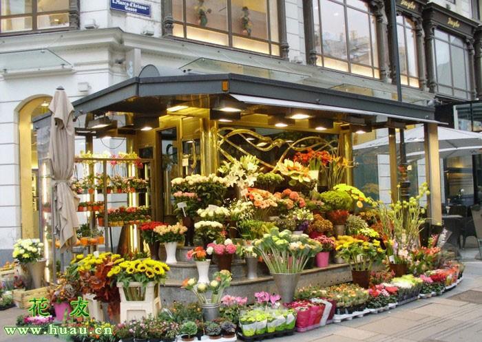 花店怎么开(花店的鲜花进货平台)