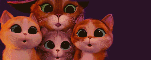 香港修身堂减肥咖啡，张玉珊微博（城南新修一个“双子”商场）