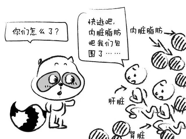 你的腰围超标吗腰围过粗预示着内脏脂肪增多,而内脏脂肪超标在医学上