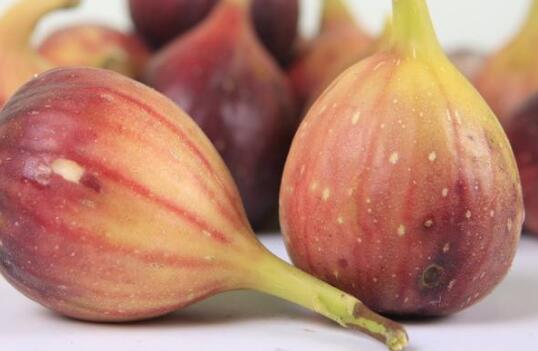 鲜无花果的功效与作用，新鲜无花果的功效与作用（新鲜无花果的功效和作用）