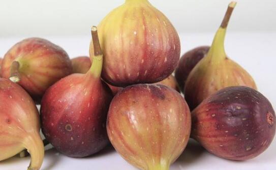 鲜无花果的功效与作用，新鲜无花果的功效与作用（新鲜无花果的功效和作用）