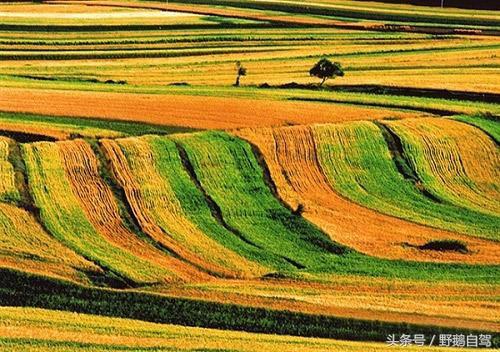 天路自驾游攻略，一定备好厚衣物（自驾穿越草原天路<含攻略>）