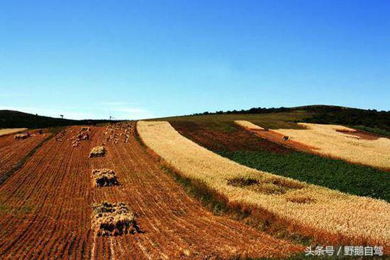 天路自驾游攻略，一定备好厚衣物（自驾穿越草原天路<含攻略>）