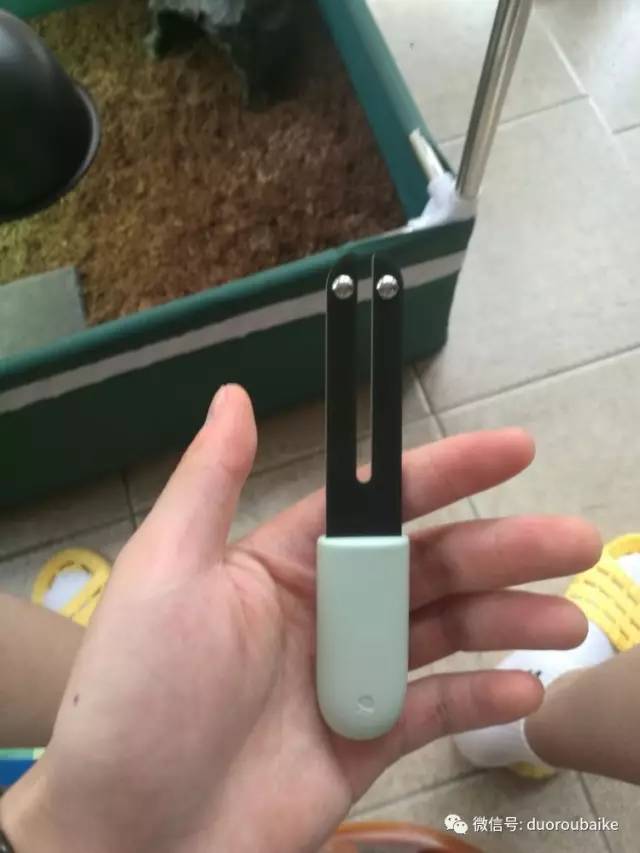 什么是app啊，什么是app（花花草草检测器养多肉有帮助吗）