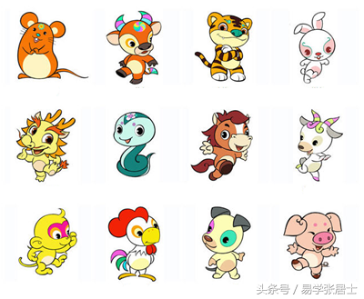 盘点十二生肖(十二生肖的眼睛)