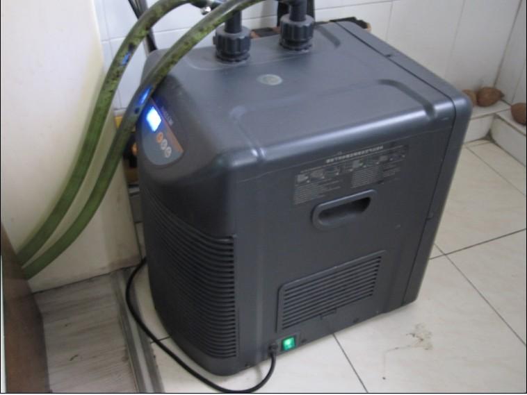 水族冷水机，夏天来了，论给鱼缸降温6大招（水族冷水机油污）