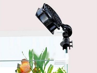 水族冷水机，夏天来了，论给鱼缸降温6大招（水族冷水机油污）