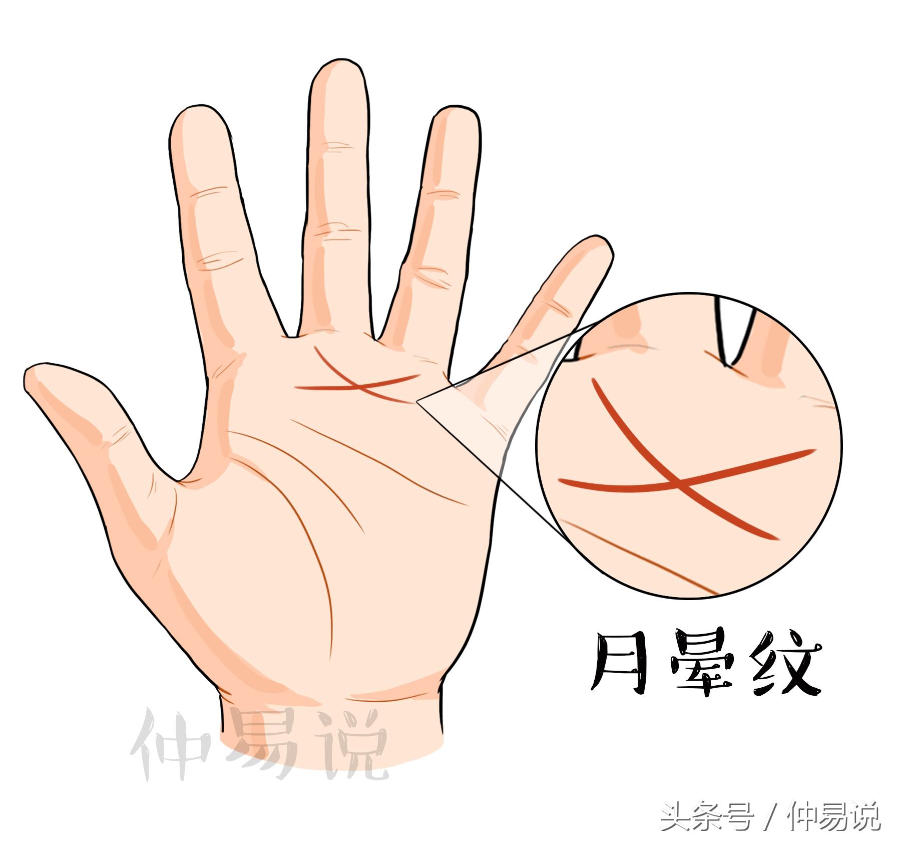 月晕是什么，月晕是什么颜色（手上有这3种月晕纹）