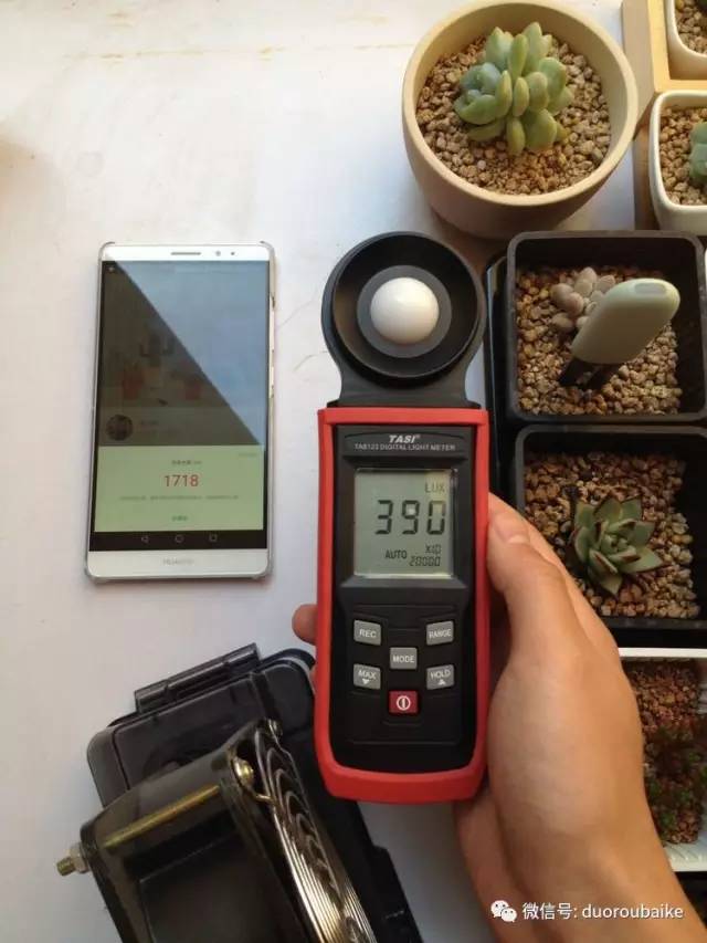 什么是app啊，什么是app（花花草草检测器养多肉有帮助吗）