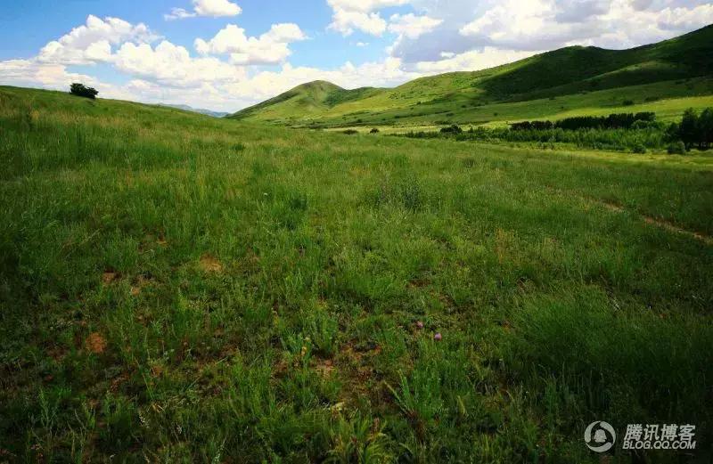 日本盗掘中国皇陵实录，日军专设文物搜集员（日本人盗掘中国帝王陵经过）