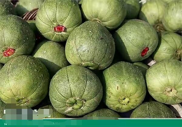 香瓜上火吗，香瓜会上火吗（香瓜的功效与作用）