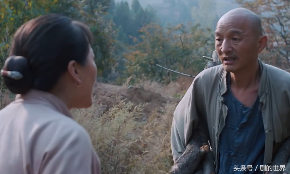 何苗是什么电视剧的，何苗是哪部电视剧里的（白鹿原的口碑不仅仅靠主演们）