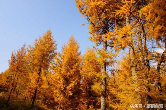 天路自驾游攻略，一定备好厚衣物（自驾穿越草原天路<含攻略>）