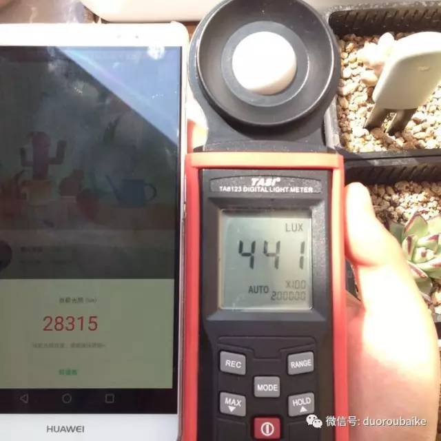 什么是app啊，什么是app（花花草草检测器养多肉有帮助吗）