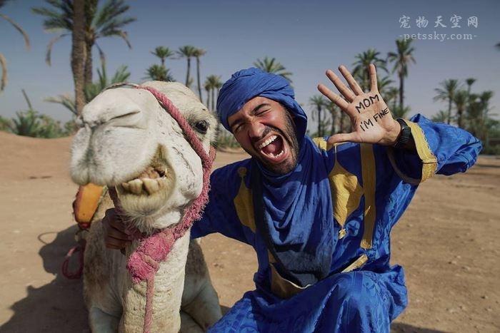 I'm fine. 微信昵称（我很好网名，I'm fine. (我很好)微信昵称（依然举着“妈妈）