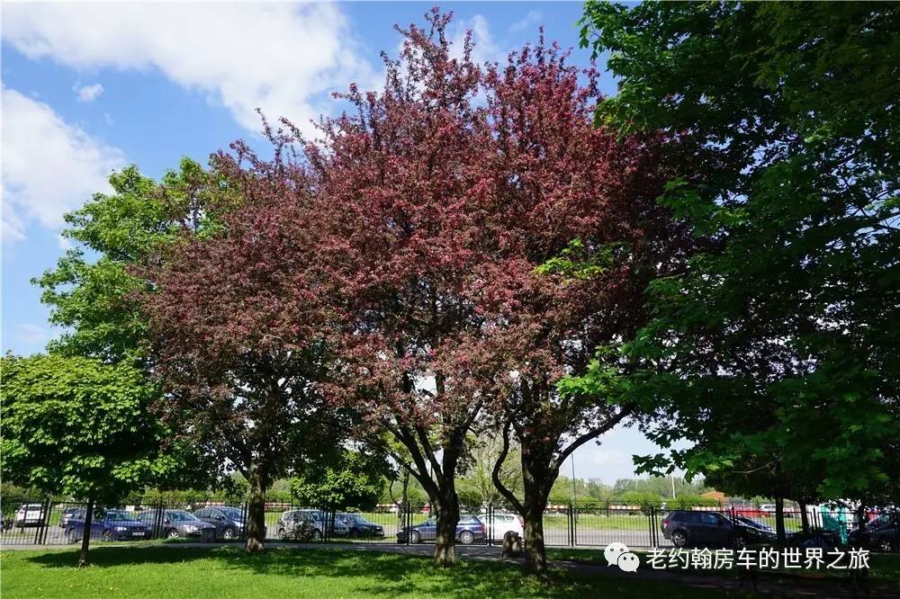 poland是哪个国家，poland是哪里（开着房车去欧洲丨曾经饱经战火、如今凤凰涅槃的波兰首都-华沙）