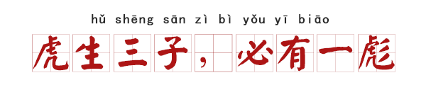 比喻震撼人心的成语，赞扬演讲精彩和震撼的成语（这些深井冰成语笑屎我了）