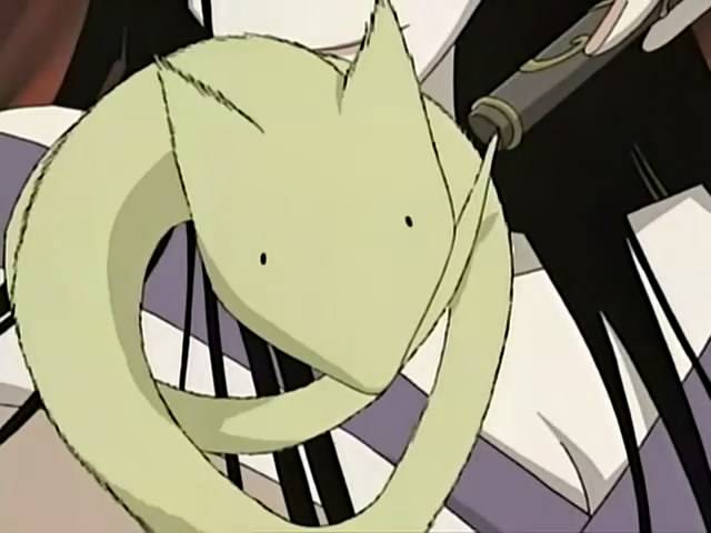 管狐哪里多,管狐哪里多阴阳师2020(妖怪图鉴——管狐)