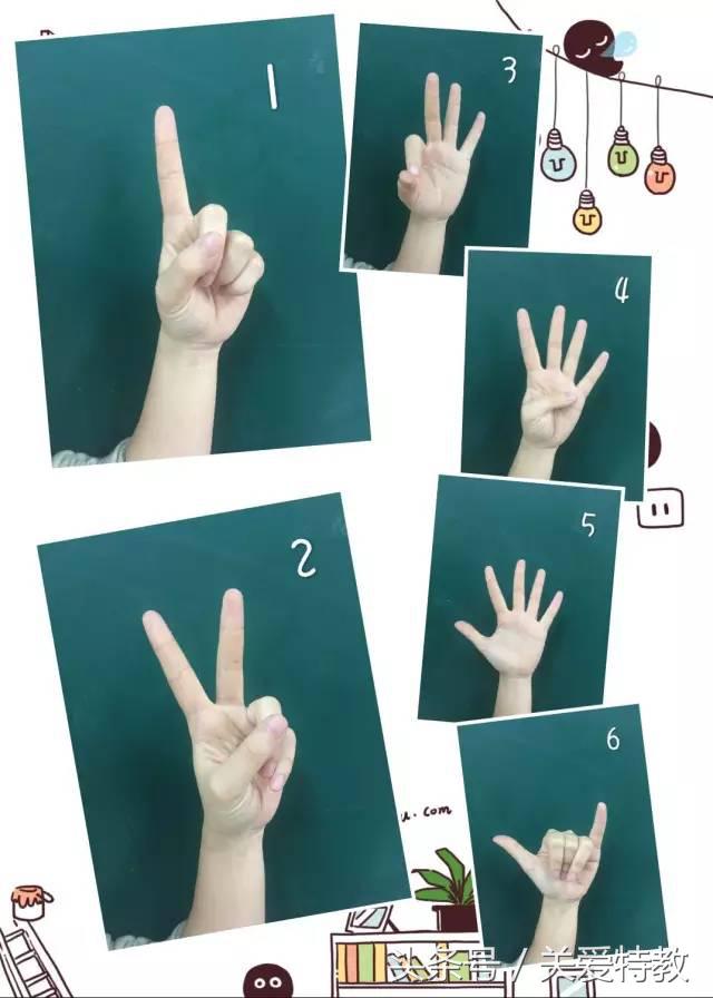 手语教程,手语教程视频(——基础日常手语教学)