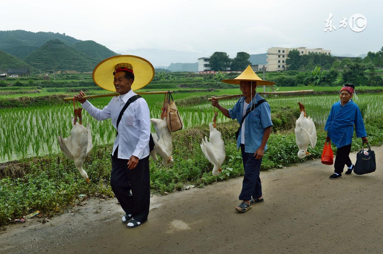 男人的节日有哪些，端午节主要是男孩子的节日（一个只属于男人狂欢的节日）