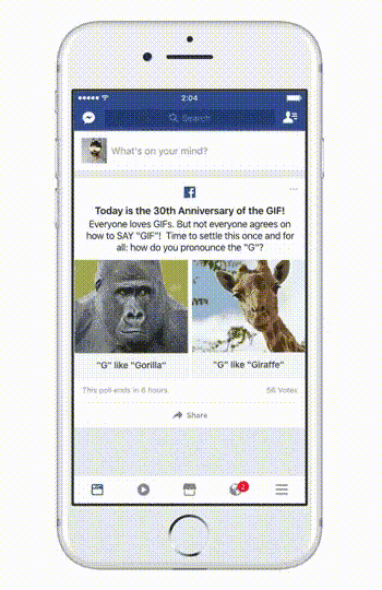 适合客厅的盆栽植物有什么，客厅最适合种什么植物（到底改读gift还是gayfu）