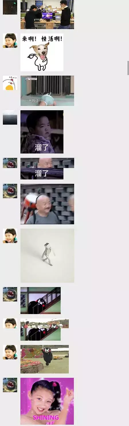 适合客厅的盆栽植物有什么，客厅最适合种什么植物（到底改读gift还是gayfu）