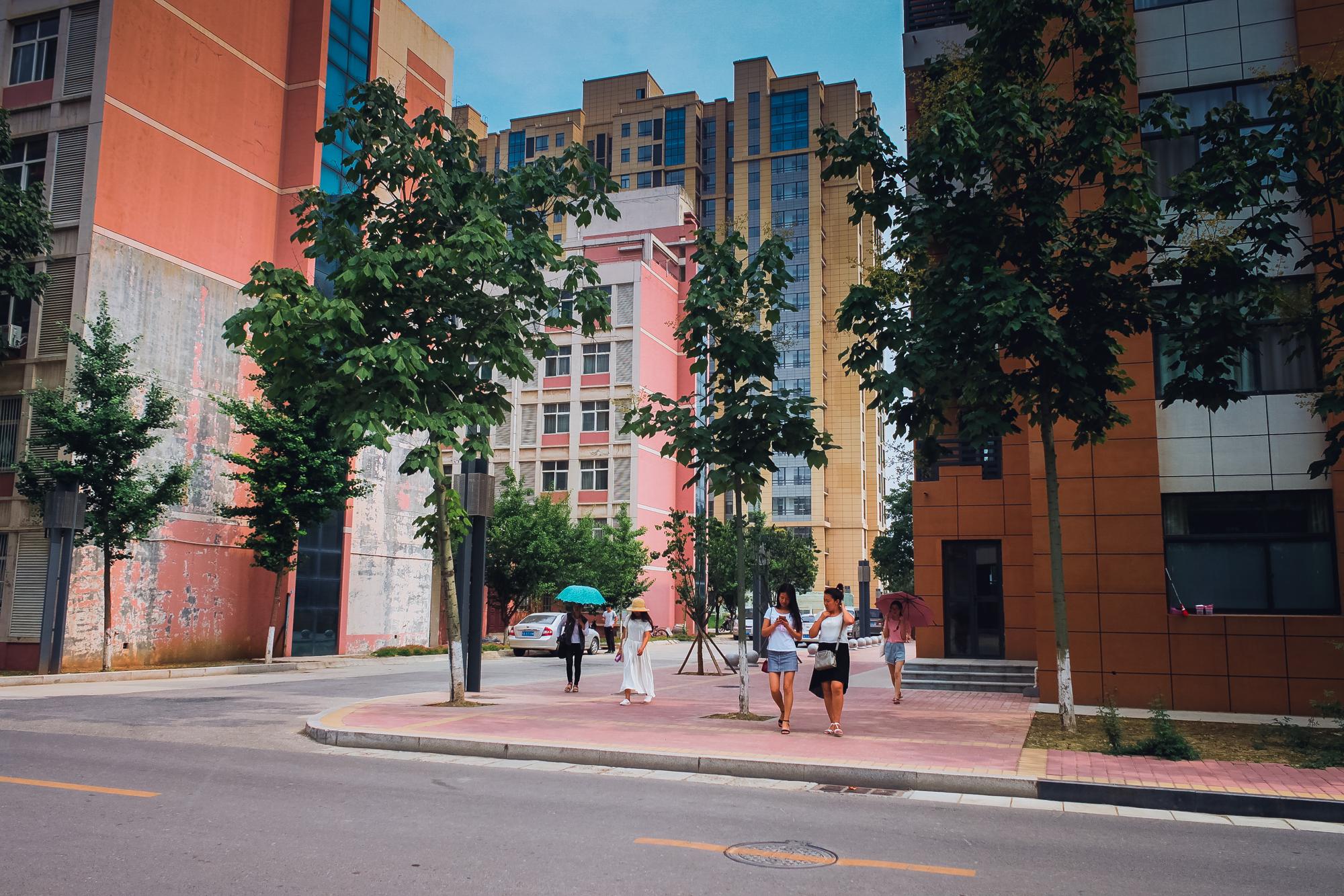 陕师大长安校区，陕师大有几个校区（陕师大有几个校区地址）